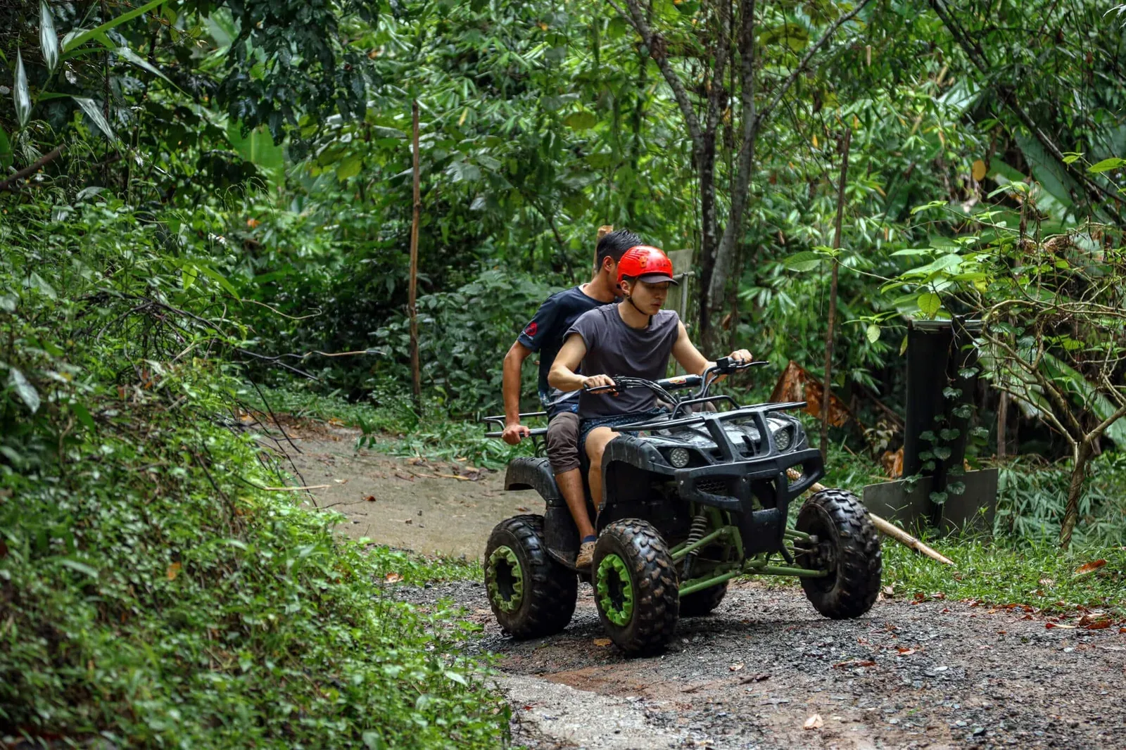 ATV Adventure: 30-Minute Forest Trail Ride