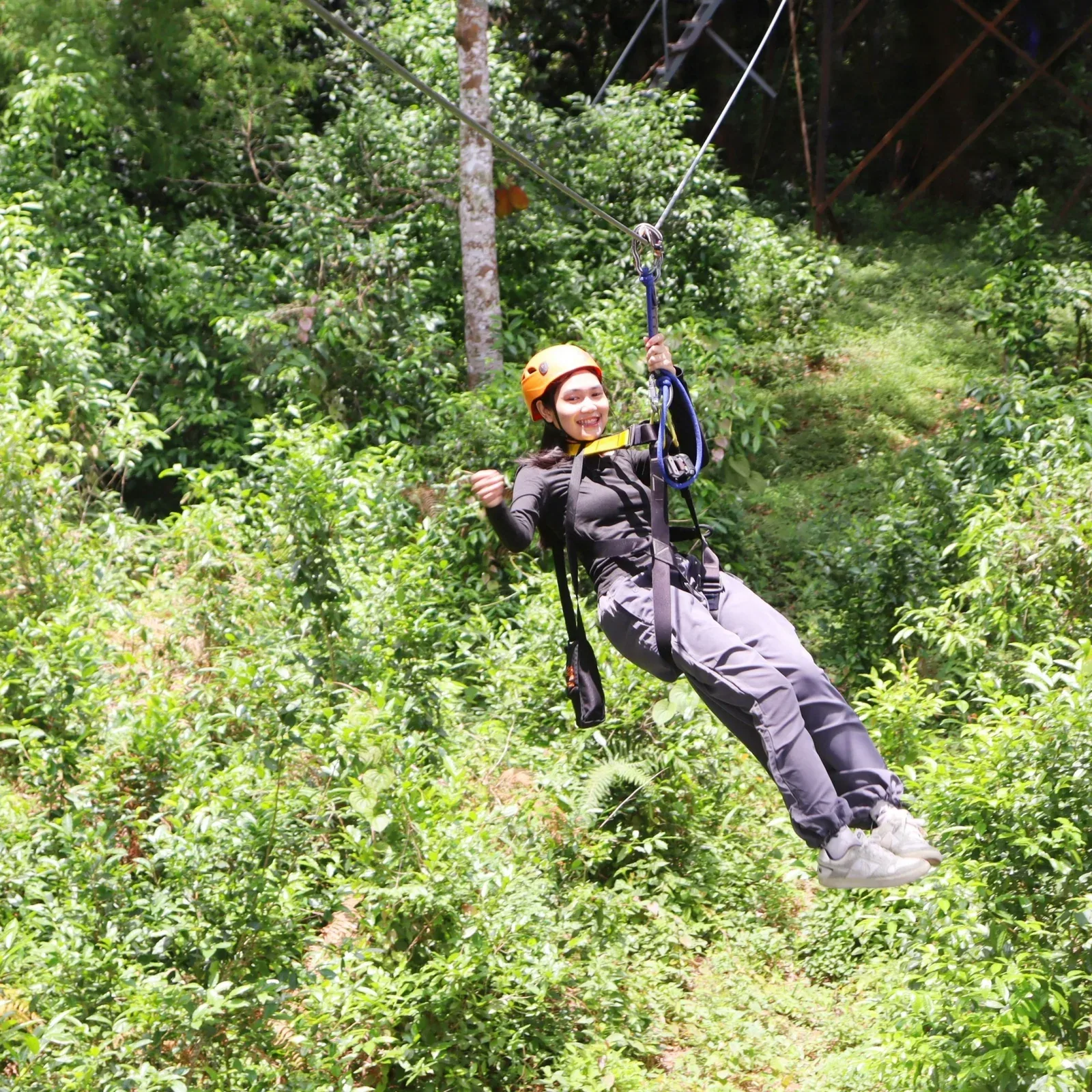 Jungle Zipline and 360-Degree Giant Swing: 38 Platforms