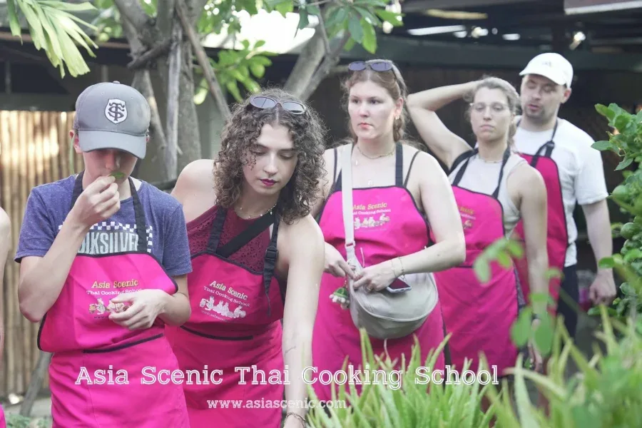 Old City Thai Cooking Class – Full Course, 6 Dishes