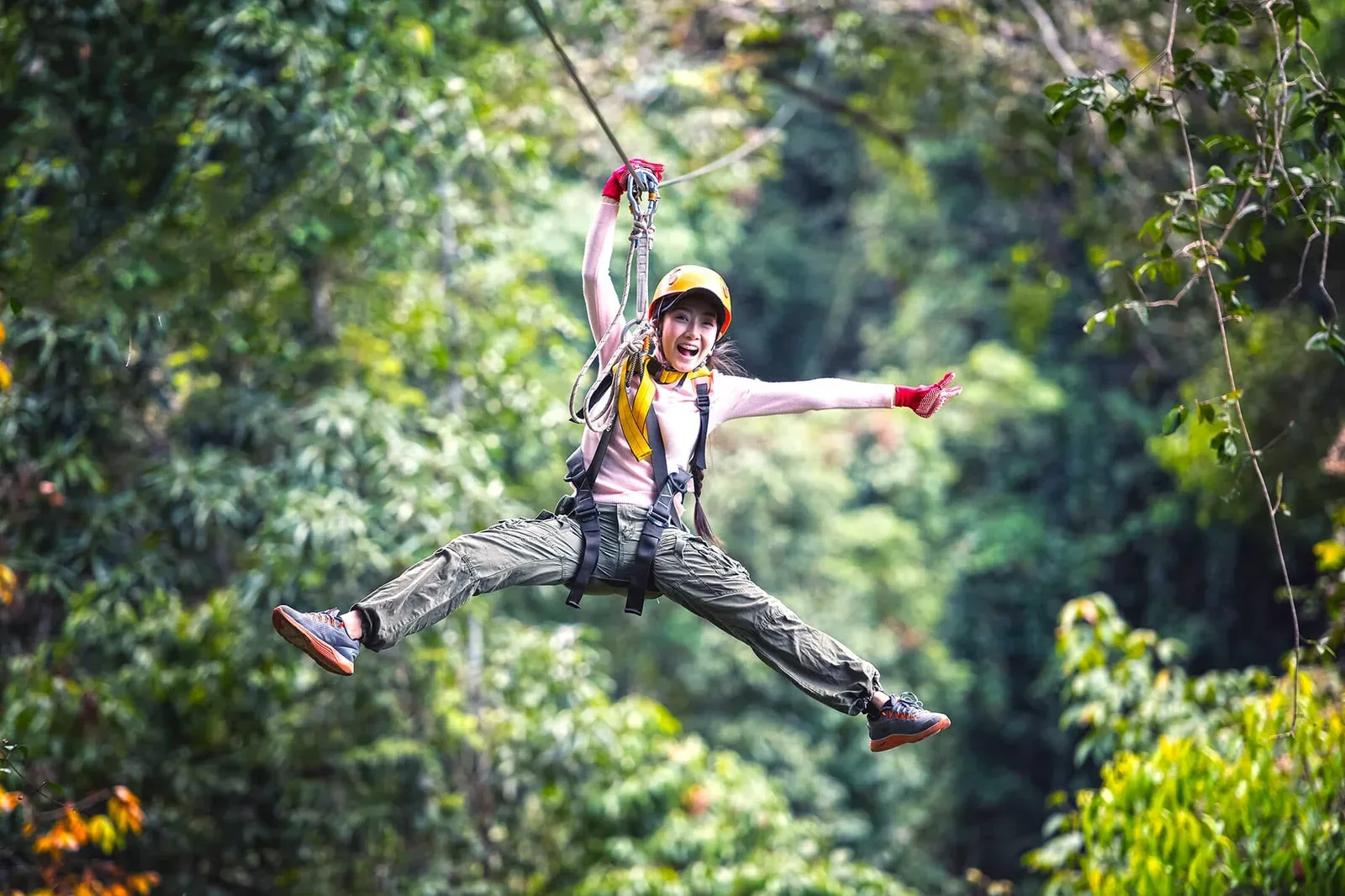 Rainforest Zipline: Short Course, 18 Stations