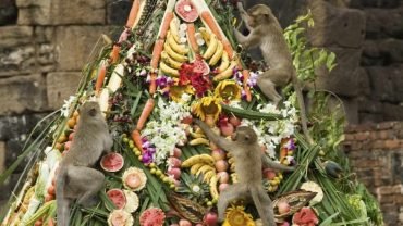 El banquete para monos