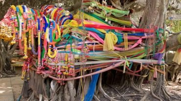 Mucho mas que un árbol